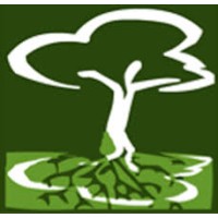 Hearing Voices Network Dundee Logo