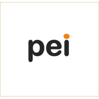 Private Equity Info Logo