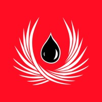James D Bilsland Ltd Logo