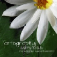 Artography Image Services Logo