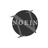 Noein Inc. Logo