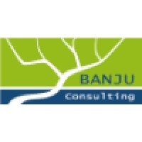 Banju Consulting Logo