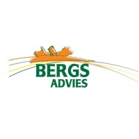 Bergs Advies B.V. Logo