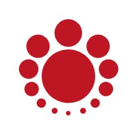 MundiCam Internacional Logo