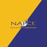 NAPCE Logo