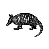 Armadillo Systems Logo