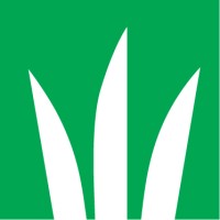 DLF Logo
