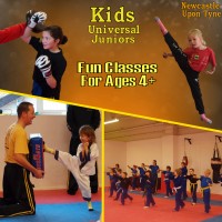 Universal Martial Arts Logo
