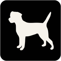 Phosphor Essence (Phosphor Ltd) Logo