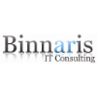 Binnaris IT Consulting Logo