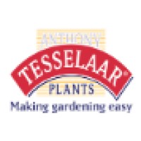 Anthony Tesselaar International Logo