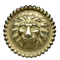 Elizabeth Street Veterinary Clinic Logo