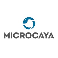 Microcaya Logo