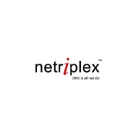 Netriplex LLC Logo