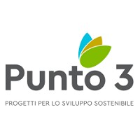 Punto 3 Logo