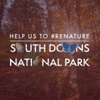 South Downs National Park Authority Logo