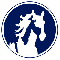White Horse Auto Wash Logo