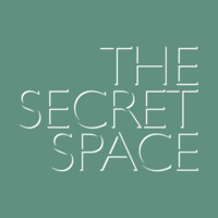 The Secret Space Logo