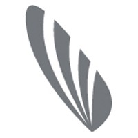 STPG Scouting Tra Partners Group Logo