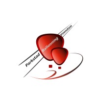 Parkstad Ballooning Veendam Logo
