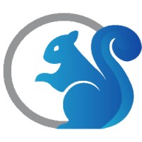 Blue Squirrel Software Ltd Logo