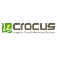 Crocus Consulting Logo