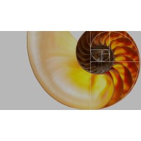 Concept Consultancy structural designers limited Logo