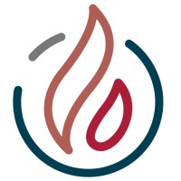 Trial By Fire Solutions Logo