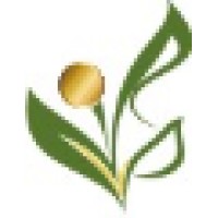 Life Strategies Logo