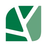Brainwoods Co., Ltd. Logo