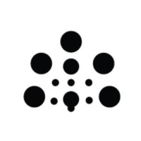 Datalumen Logo