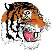 Tyger Security Ltd Logo