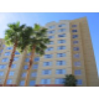 Cactus and Palm Inc. Logo