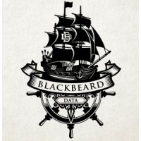 Blackbeard Data Services, LLC Logo