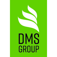 Dynamic Management Solutions Logo