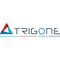 TRIGONE (part of the NRB Group) Logo