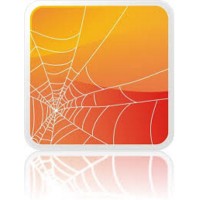 Spidernet Logo