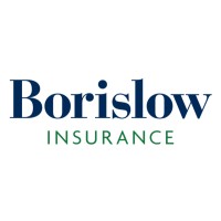 Borislow Insurance Logo