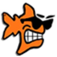Coolfish Web Design Logo