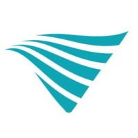 V-Wave Logo