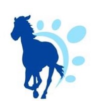 Equine Euphoria Logo