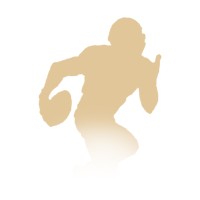 Larrytouchdown.com Logo