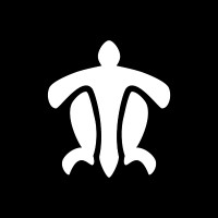Turtle Limited Logo