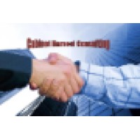 Cabinet Hamoui Consulting Logo
