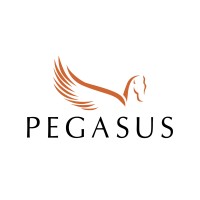Pegasus: IT Value Acceleration Services Logo