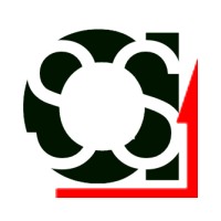 alineo Software & Systeme GmbH Logo