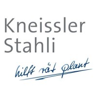 Kneissler & Stahli Logo