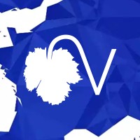 Veremes Logo