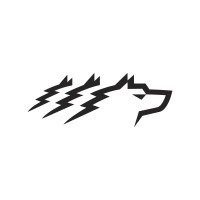 WOLF GROUP IBERICO S.A.U Logo