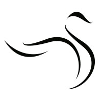 Black Swan Analysis Logo